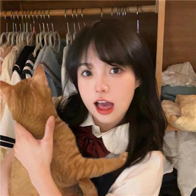 彼得松和芬杜斯3